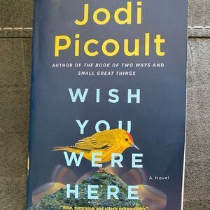 Wish You Were Here by Jodi Picoult